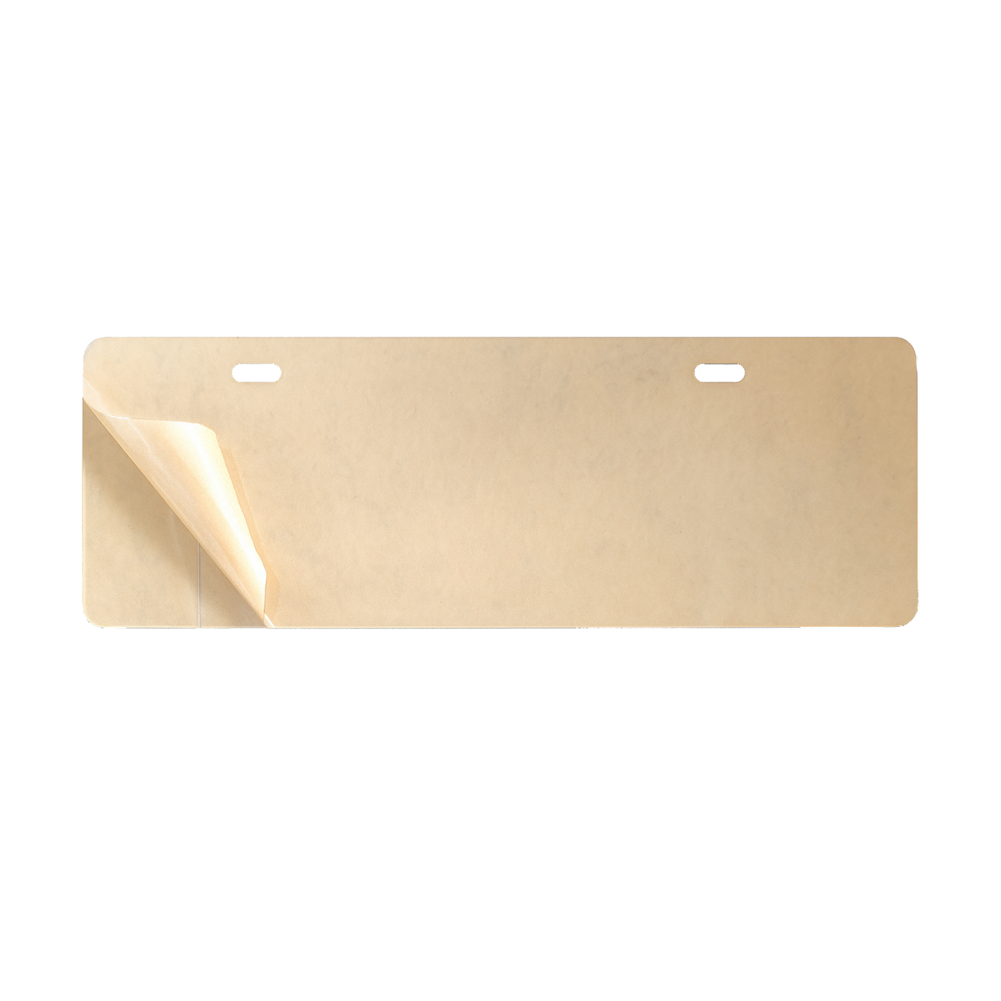 Plate Protector: Car